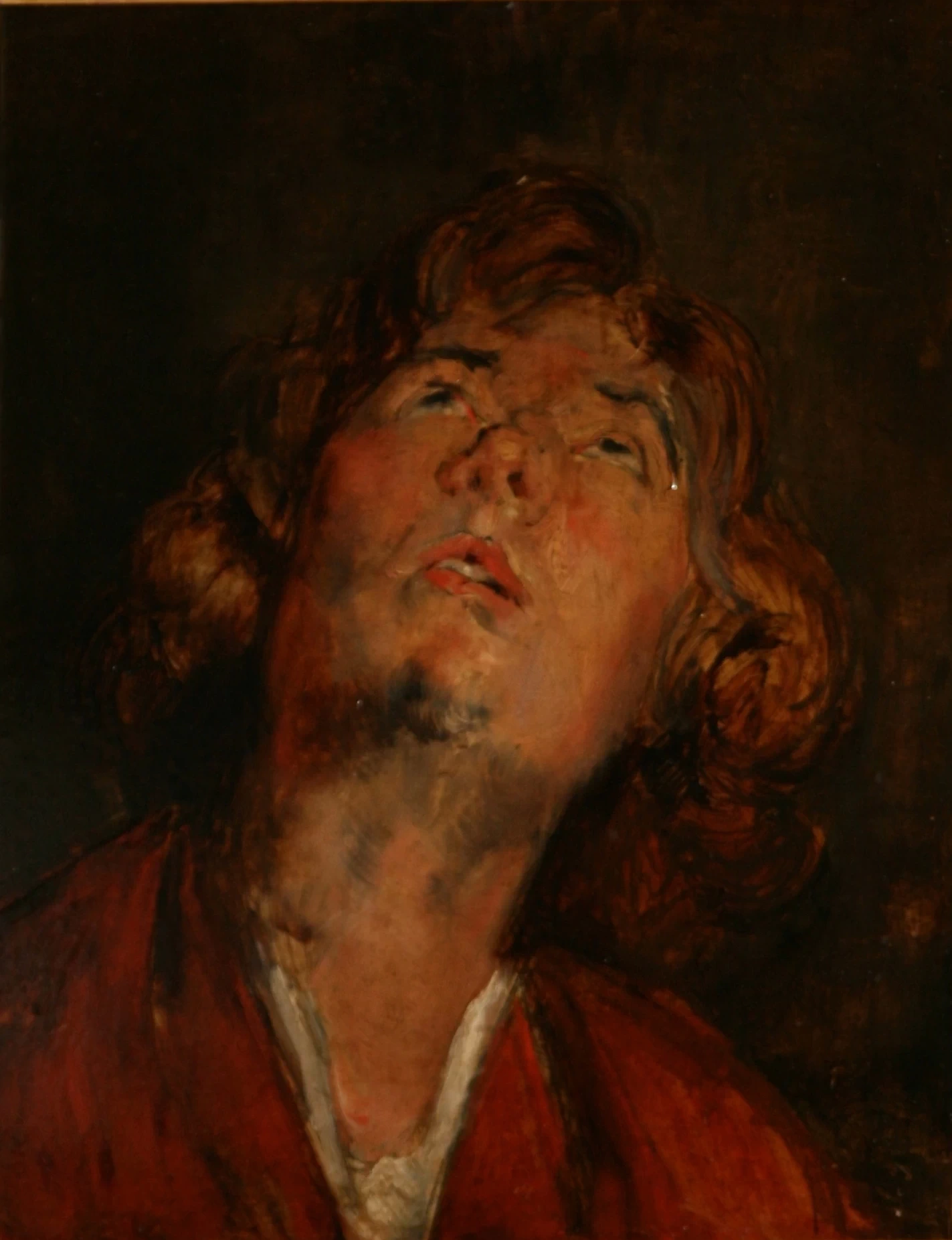San Giorgio. Studio da Rubens